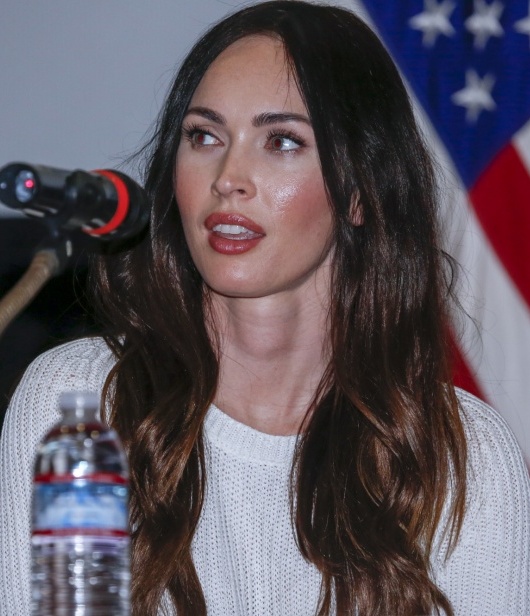 MEGAN FOX SLAMS TROLL OVER LINGERIE POSTS WHILE DELIVERING BLUNT DISS TO HER EXES